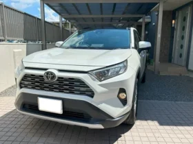 TOYOTA RAV4 X HYBRID 2019 PEARL