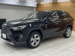 Toyota Rav4 G 2020 Hybrid Sunroof