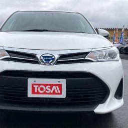 Toyota Corolla Fielder 2020 Ex package white color