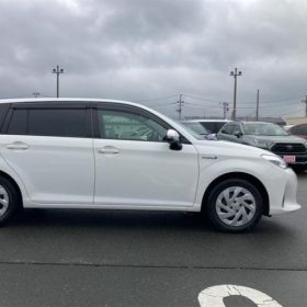 Toyota Corolla Fielder 2020 Ex package white color