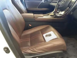 Lexus RX 300 Version L Pearl 2020