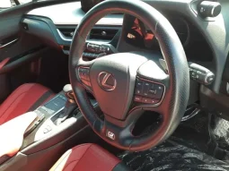 2020 Lexus UX 250h F-sports Hybrid