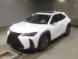 2020 Lexus UX 250h F-sports Hybrid