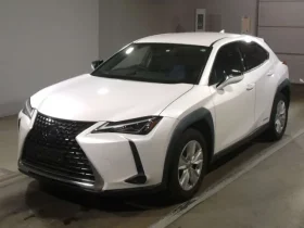 2020 Lexus UX 250h Hybrid