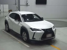 Lexus UX 250H 2020 Pear Hybrid