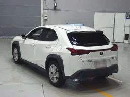 Lexus UX 250H 2020 Pear Hybrid
