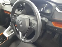 Toyota RAV4 Adventure 2023 Two tone Non-Hybrid 4WD