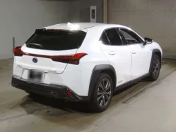 2020 Lexus UX 250h F-sports Hybrid