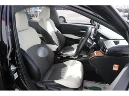 Toyota Corolla WXB 2021 Black | Stylish Hybrid Sedan Bangladesh