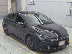 2022 TOYOTA COROLLA WXB