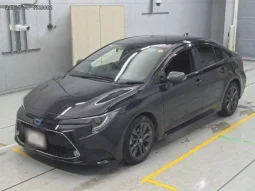 2022 TOYOTA COROLLA WXB