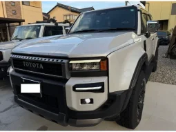 2024 TOYOTA LAND CRUISER VX 250