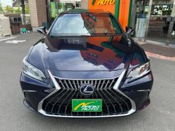 Lexus ES 300h 2022 Version L Blue