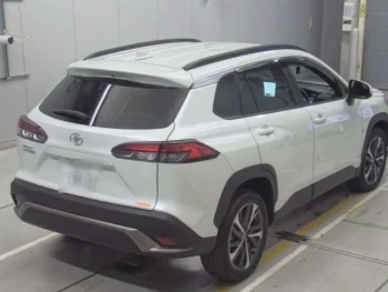 Mini Bus Price in Bangladesh for Business & Travel