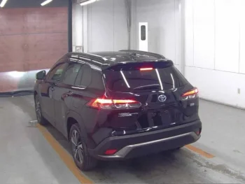 Mini Bus Price in Bangladesh for Business & Travel