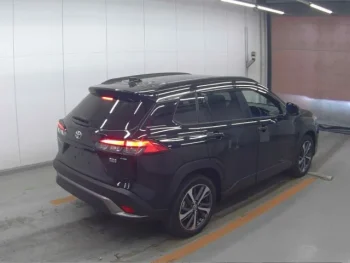 Mini Bus Price in Bangladesh for Business & Travel