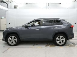 2021 Toyota Rav4 G Hybrid Grey