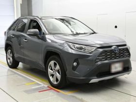 2021 Toyota Rav4 G Hybrid Grey