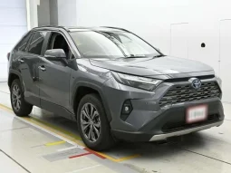 Toyota Rav4 G 4WD Hybrid Grey