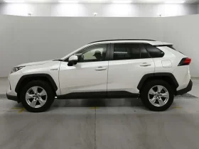 Toyota Rav4 X 2021 Hybrid White