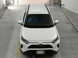 Toyota Rav4 X 2021 Hybrid White
